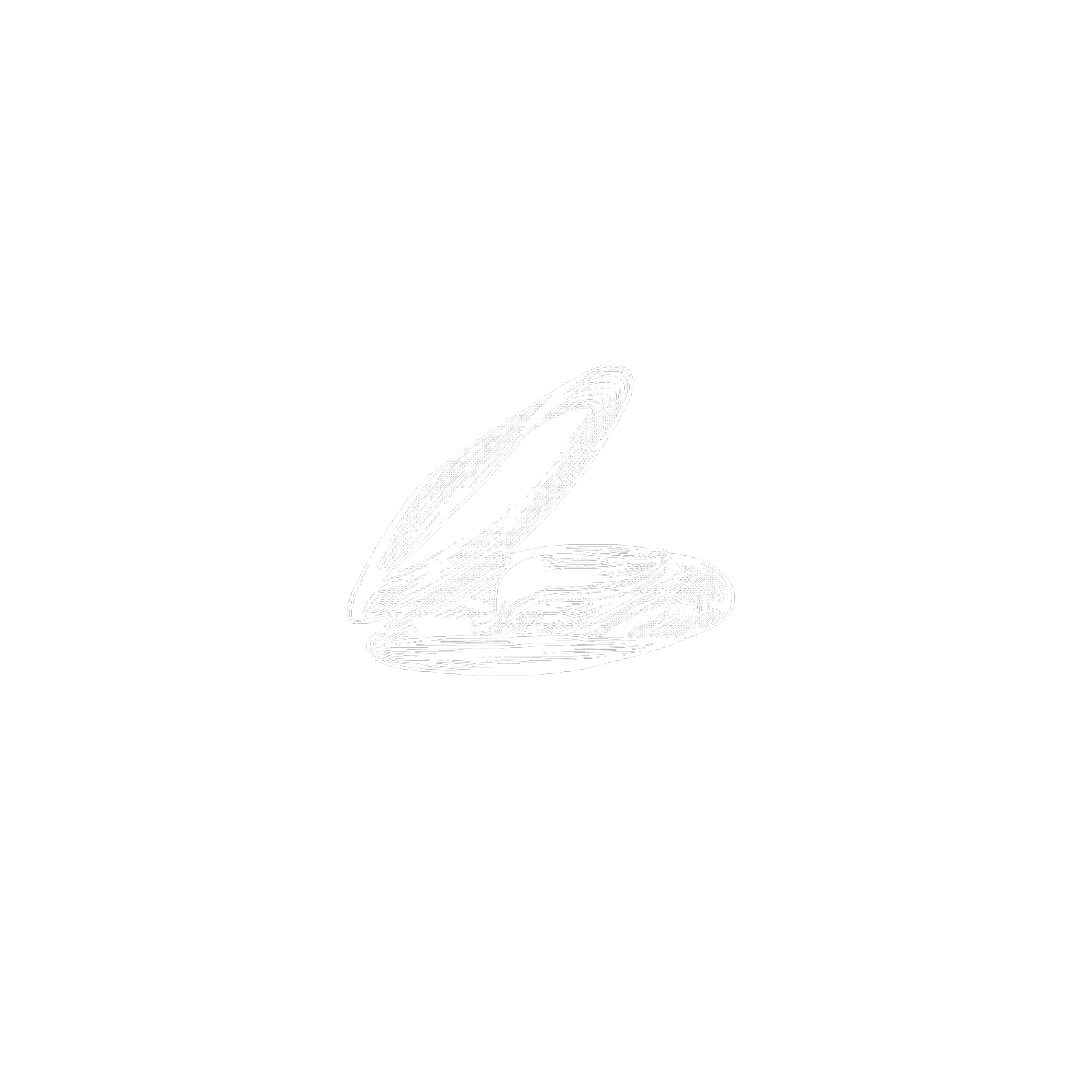 Miesmuschel_Otto Will Meer8