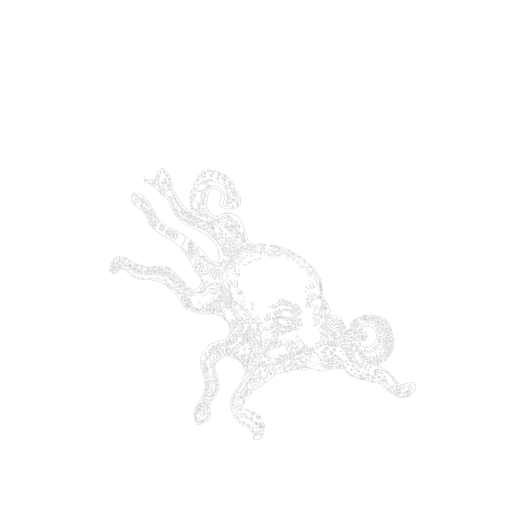 Oktopus_Otto Will Meer6